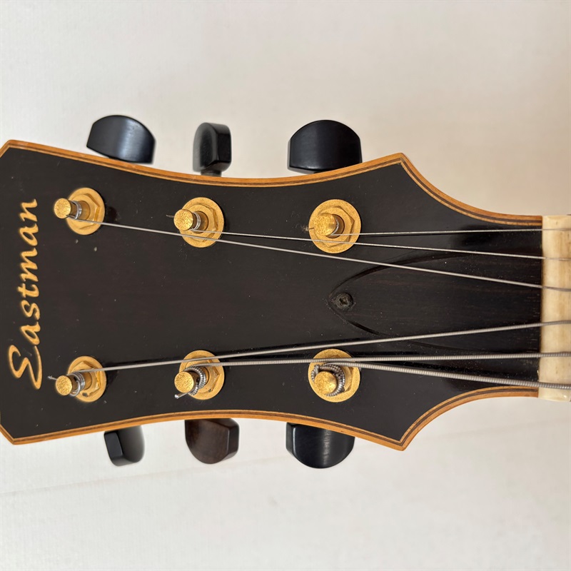 EASTMAN Eastman AR-905CE/Sunburstの画像